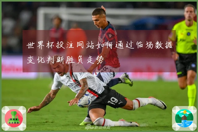 世界杯投注网站如何通过临场数据变化判断胜负走势