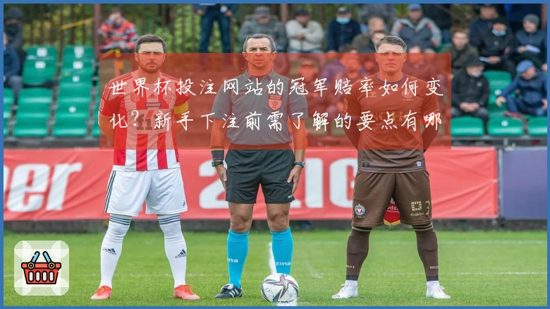 世界杯投注网站的冠军赔率如何变化?新手下注前需了解的要点有哪些