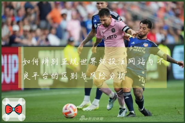 如何辨别正规世界杯投注网站与不良平台的区别与风险分析